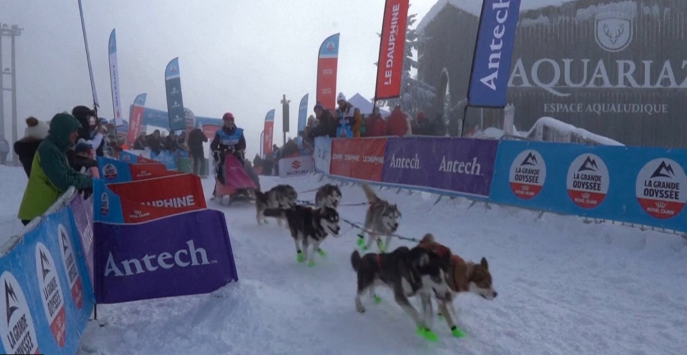 Francijas Alpos ikgadējās suņu pajūgu sacīkstes – šāda veida sarežģītākās Eiropā / Raksts