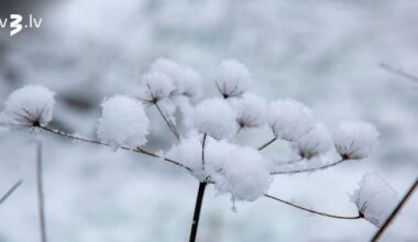 Ceturtdien nav gaidāmi ievērojami nokrišņi