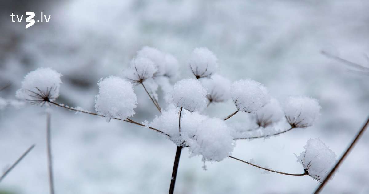 Ceturtdien nav gaidāmi ievērojami nokrišņi