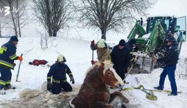 Ledainā slazdā: ugunsdzēsēji Lietuvā izglābj ezerā iekritušu zirgu