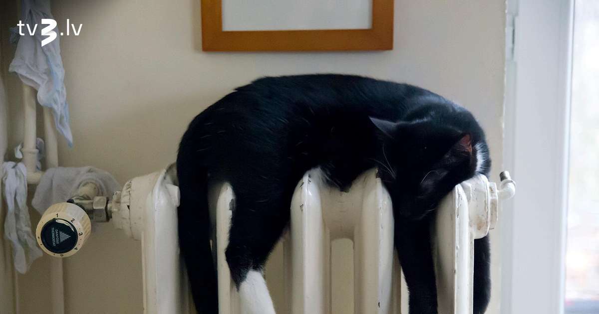 Līdz pat 50% lielāki rēķini. Pašvaldības gatavas palīdzēt apmaksāt janvāra apkuri, bet gaida arī valsts atbalstu