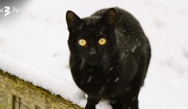 Skorpioni dos priekšroku emocionālām aktivitātēm, Strēlniekiem jāļaujas iedvesmai – 18. janvāra horoskops