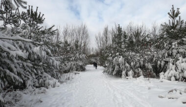 ķīniešu horoskops 2026. gada februārim