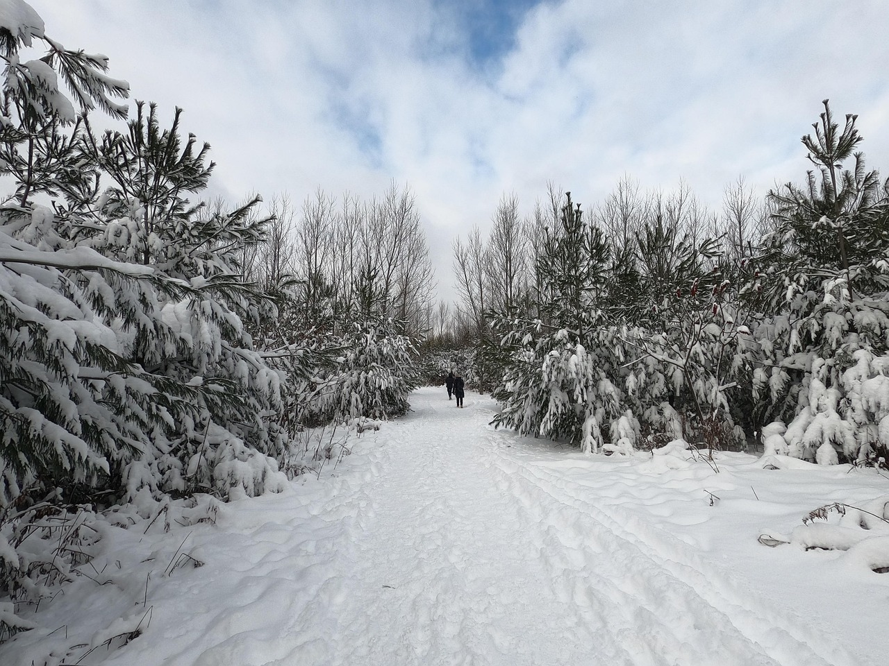 ķīniešu horoskops 2026. gada februārim