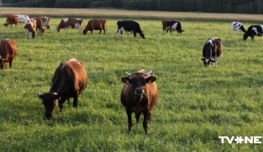 Latvijai kā ES dalībvalstij ir jācīnās par lielāku atbalstu lauksaimniekiem
