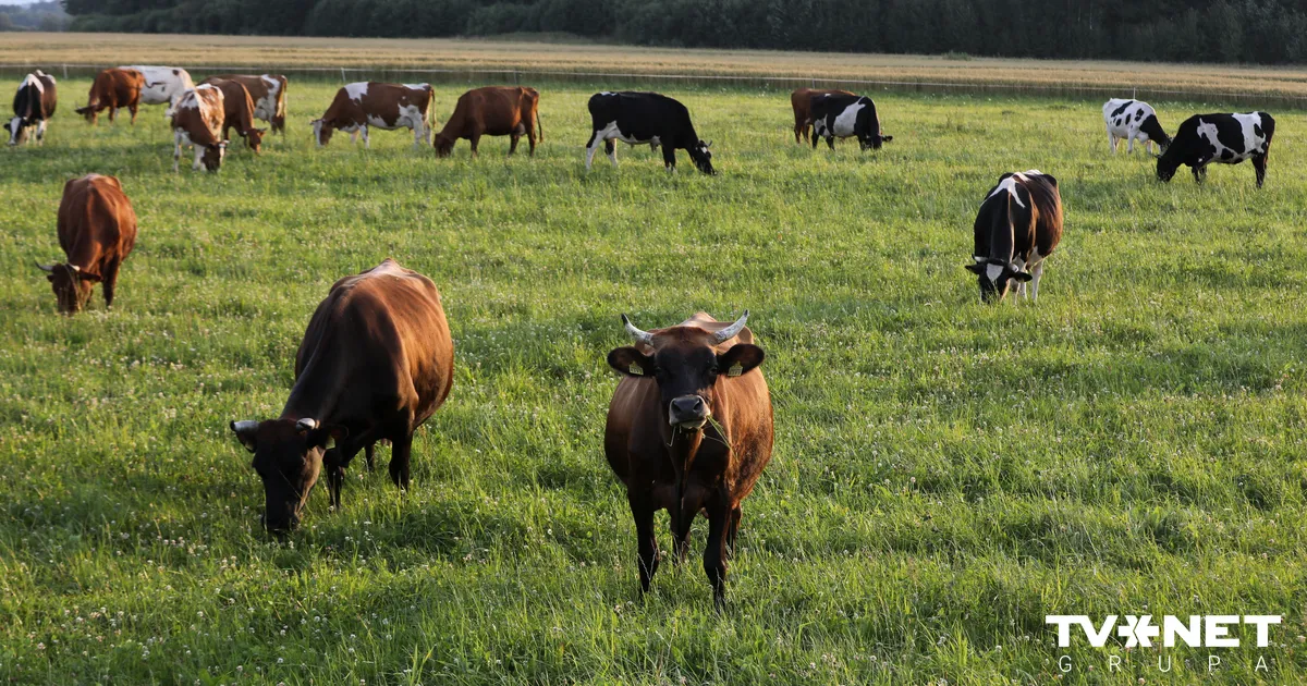 Latvijai kā ES dalībvalstij ir jācīnās par lielāku atbalstu lauksaimniekiem