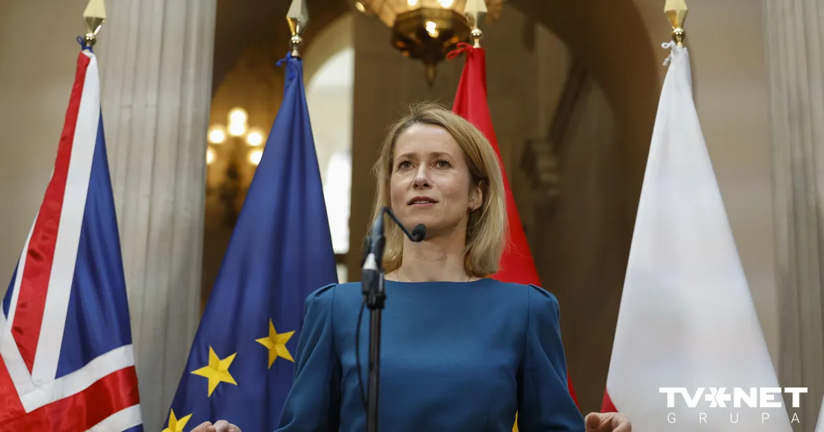 Kallasa ideju par kopīgu Eiropas armiju sauc par ārkārtīgi bīstamu