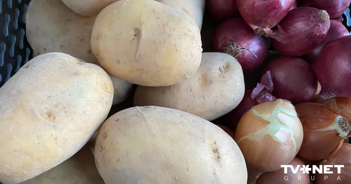 Rekordliela raža izraisa masveida bezmaksas kartupeļu izsniegšanu visā Berlīnē