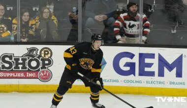 Ločmelis atkal rezultatīvs un pietuvojas 30 punktu robežai AHL