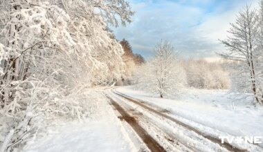 Cilvēki ar suni Mangaļsalas pludmalē.