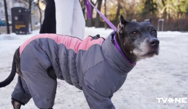 Arī nākamajā nedēļā Latvijā gaidāms stindzenis