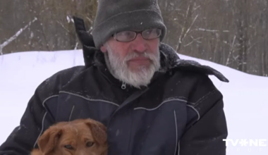 saimnieks uzskata, ka dzīvniekiem nekas nekaitēja