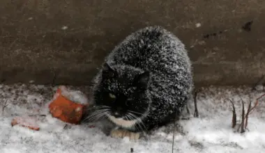 Sinoptiķiem svarīgs sakāmais par laikapstākļiem nākamās nedēļas nogalē - Jauns.lv
