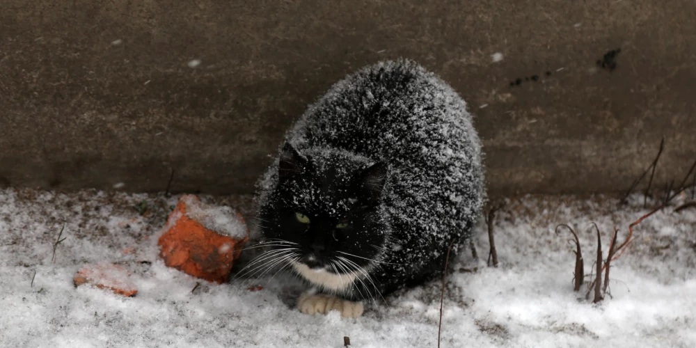 Sinoptiķiem svarīgs sakāmais par laikapstākļiem nākamās nedēļas nogalē - Jauns.lv