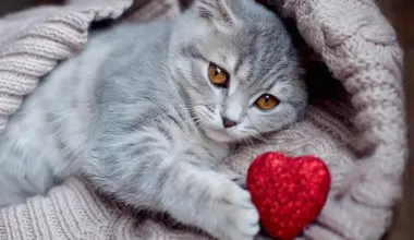 Pilnmēness diktēs savus noteikumus - horoskops visām zodiaka zīmēm no 2.02. līdz 8.02. - Jauns.lv