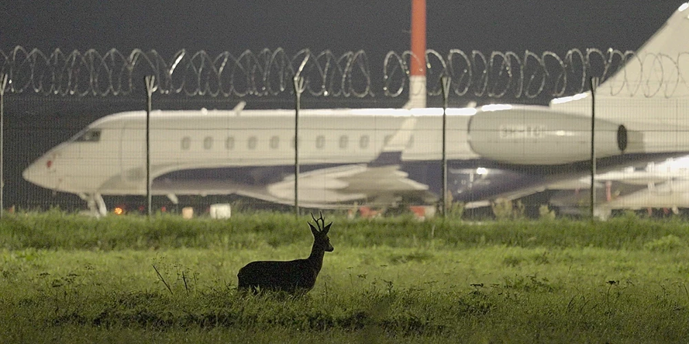 Ar Lailas Pakalniņas “Putnubiedēkļi” atklās “Lielā Kristapa” filmu skati