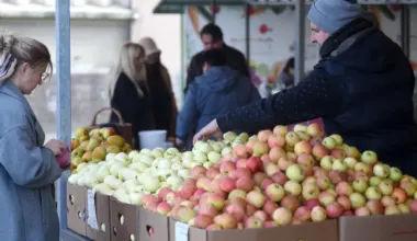 Kādus ābolus ēst, lai izvairītos no saindēšanās ar pesticīdiem - Jauns.lv