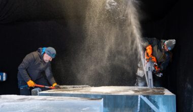 Jelgavā ledus pārtop ilūzijās – mākslinieki no 12 valstīm sāk veidot ledus skulptūras