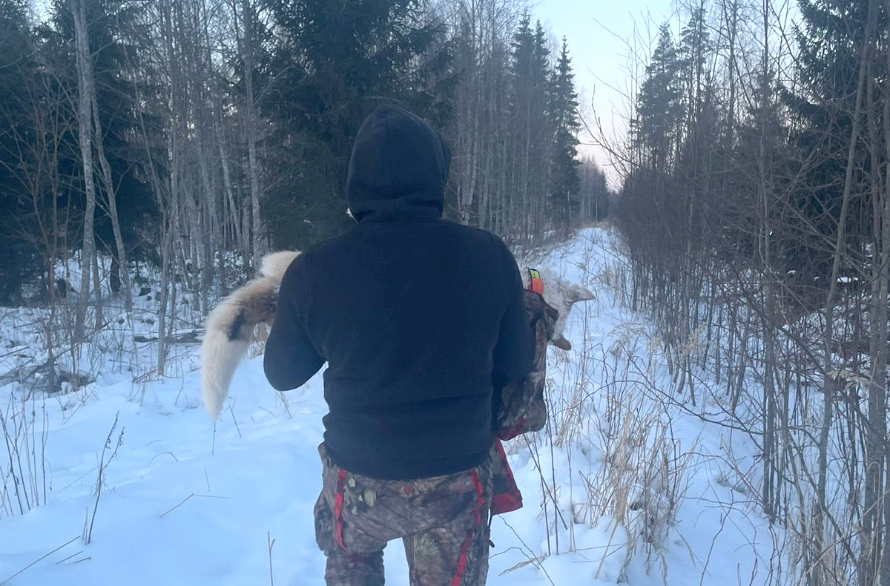 VIDEO! Brendu Ramatā nokož vilki. Saimnieks uz rokām suni iznes no meža