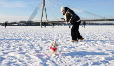 Ceturtdien daudzviet gaidāms sniegs un sals līdz -12 grādiem