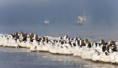 Sasniegts 2. februāra aukstuma rekords; diena būs saulaina / Raksts