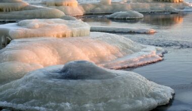 Desmit novērojumu stacijās un Rīgas lidostā pārspēts 2. februāra aukstuma rekords :: Dienas Bizness