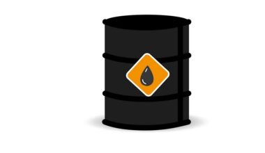 Tramps samazina muitas tarifus Indijai, kas piekritusi nepirkt Krievijas naftu :: Dienas Bizness