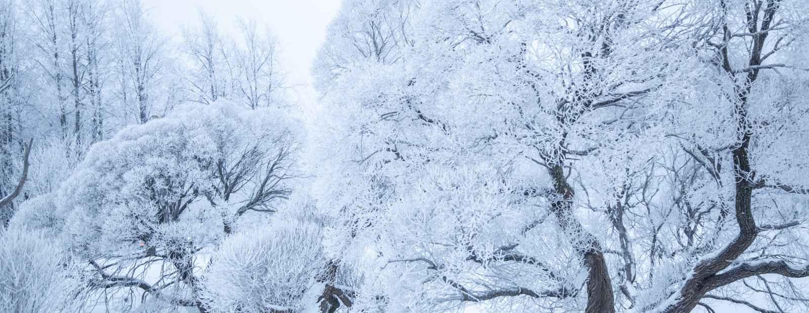 Arī nākamo nedēļu prognozē aukstu - Diena