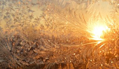 Desmit novērojumu stacijās un Rīgas lidostā pārspēts 2. februāra aukstuma rekords / Diena