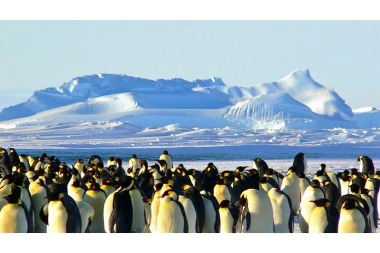 Darba iespējas Antarktīdas pētniecības stacijās: vakances un nosacījumi 2026. gadam