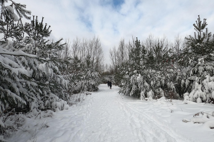 Trusim – romantika un mīlestība, Pērtiķim – sasniegumi karjerā: ķīniešu horoskops 2026. gada februārim