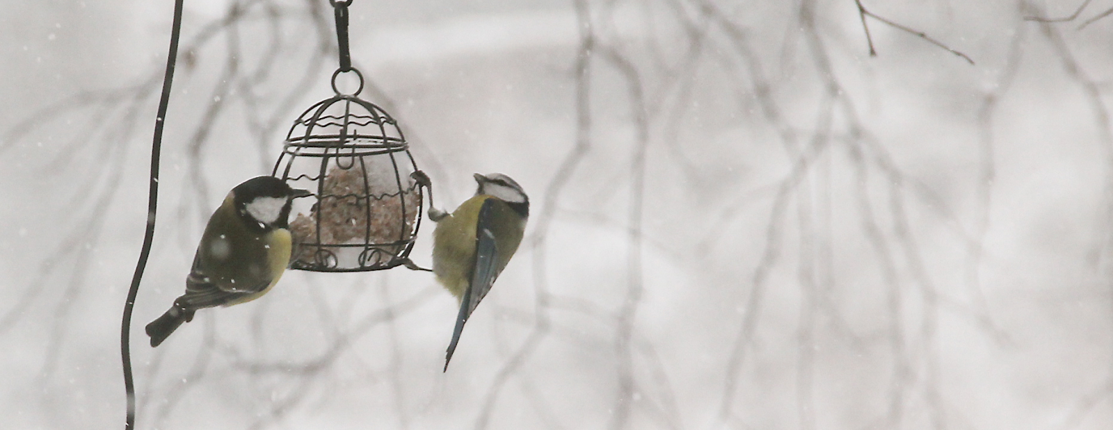 Daugavpils novērojumu stacijā sals sasniedzis 28 grādus / Diena