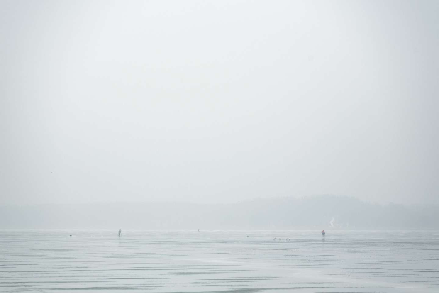 Rīgas līcis klāts ar peldošiem ledus gabaliem