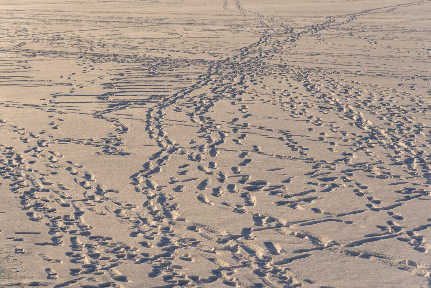 Nākamās nedēļas laika prognoze Latvijā: sals un sniegs