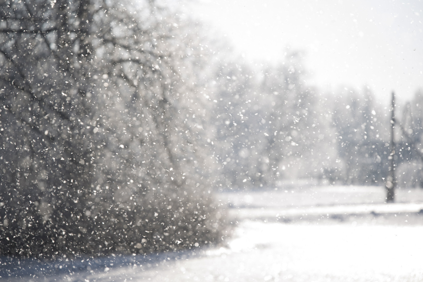 Naktī uz ceturtdien sals līdz -24 grādiem; pa dienu uzsnigs