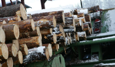 Vai kokrūpnieku skandāls radīs jaunas plaisas valdībā?