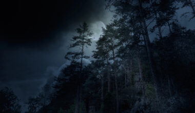 Čitā salst un tumsa - nra.lv