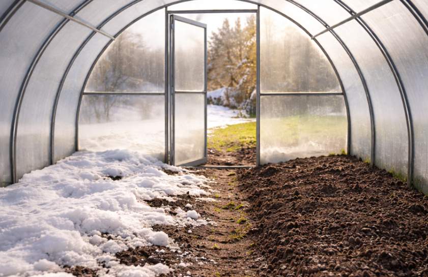 Sniegs ziemā siltumnīcā - vajadzīgs vai tas ir tikai kaitē