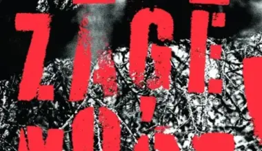 Klajā nāk Laura Gundara jaunais romāns "Zāģē nost!"