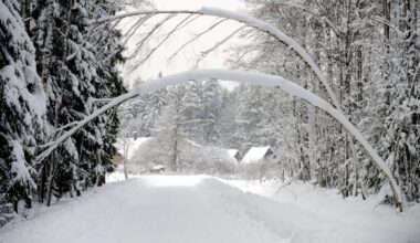Nākamās nedēļas izskaņā sagaidāma sniega segas palielināšanās un sala mazināšanās