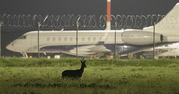 Lailas Pakalniņas filma “Putnubiedēkļi” atklās Nacionālās kino balvas “Lielais Kristaps” filmu skati