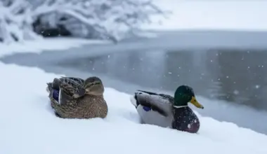 Sestdien Latvijā saglabāsies vēss laiks ar saulainām debesīm