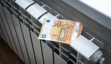 Auksts janvāris, lielāki apkures rēķini; valsts palīdzība varētu būt vien atsevišķām iedzīvotāju grupām / Raksts