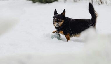 Horoskopi no 2. līdz 8. februārim. Neļauj emocijām gūt virsroku