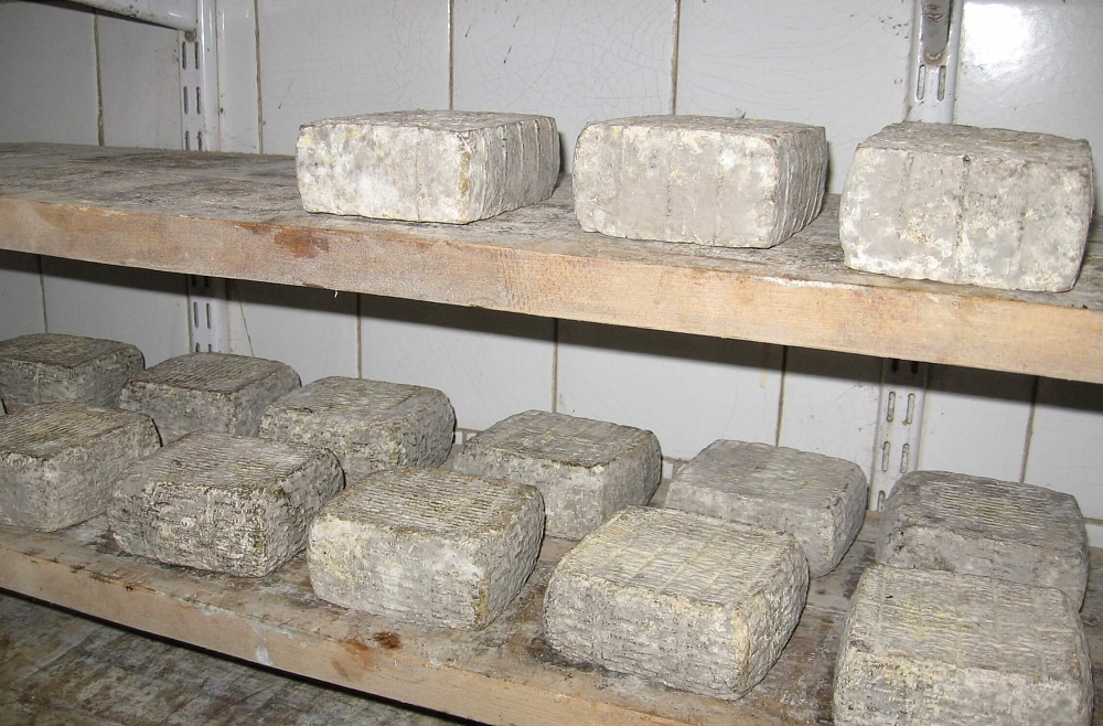 Uzņēmumā "Soira".