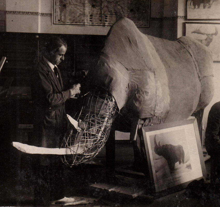 Oļģerts Krūmiņš pie spalvainā degunradža maketa. Rīga, 1932. gads