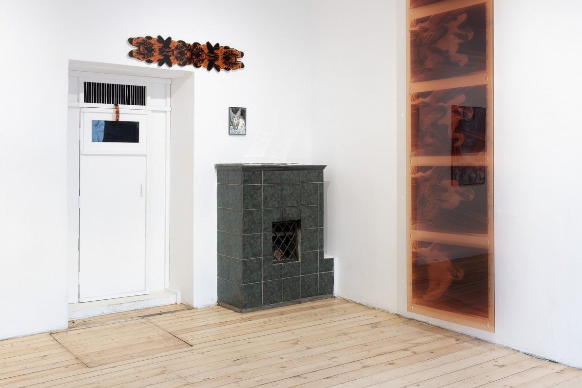 Agates Tūnas izstāde "Līdzbūtne" galerijā "427"