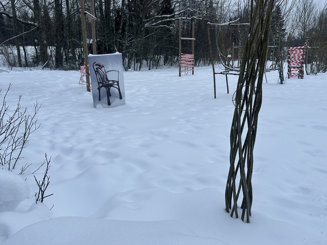 Meža dizaina dārzs