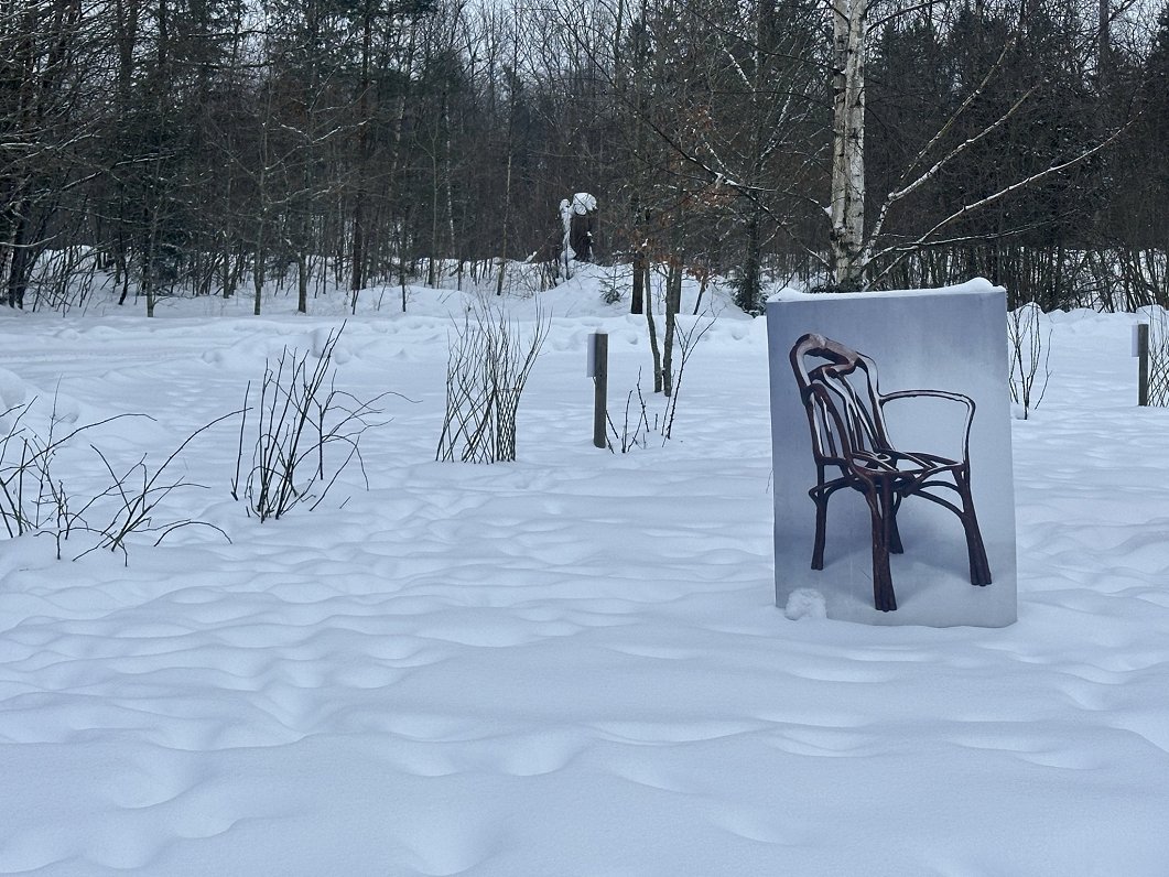 Meža dizaina dārzs