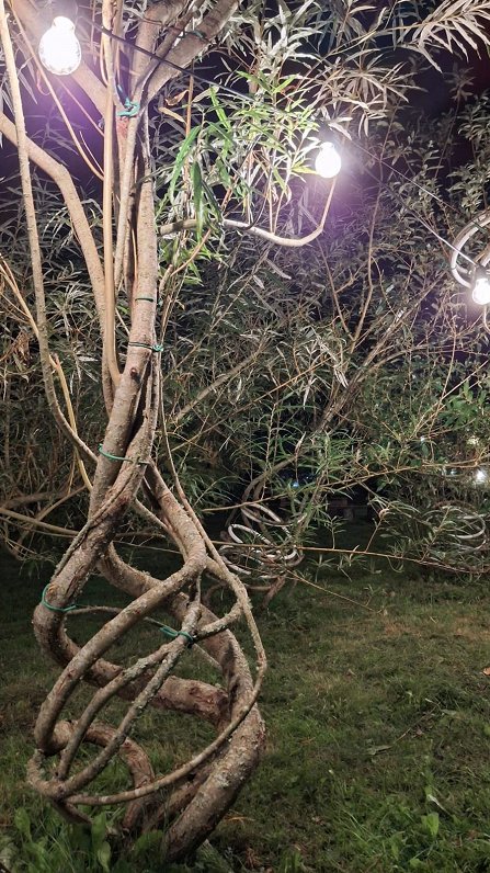 Meža dizaina dārzs